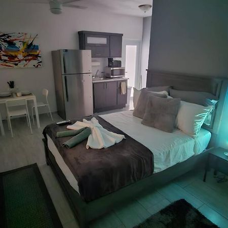 סן חואן Urban Lodgings One @ Roosevelt 457 מראה חיצוני תמונה