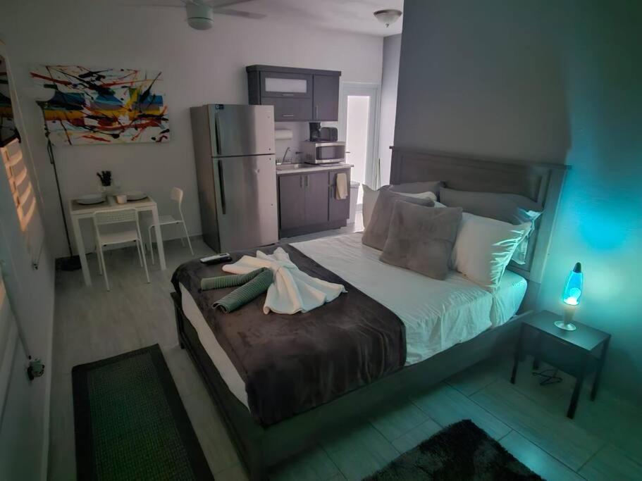 סן חואן Urban Lodgings One @ Roosevelt 457 מראה חיצוני תמונה